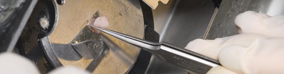 مختبر|البحث والتطوير|بيولوجيا